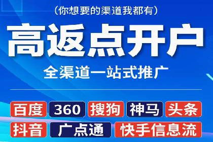 某企业SEM广告投放的ROI提升策略及效果展示